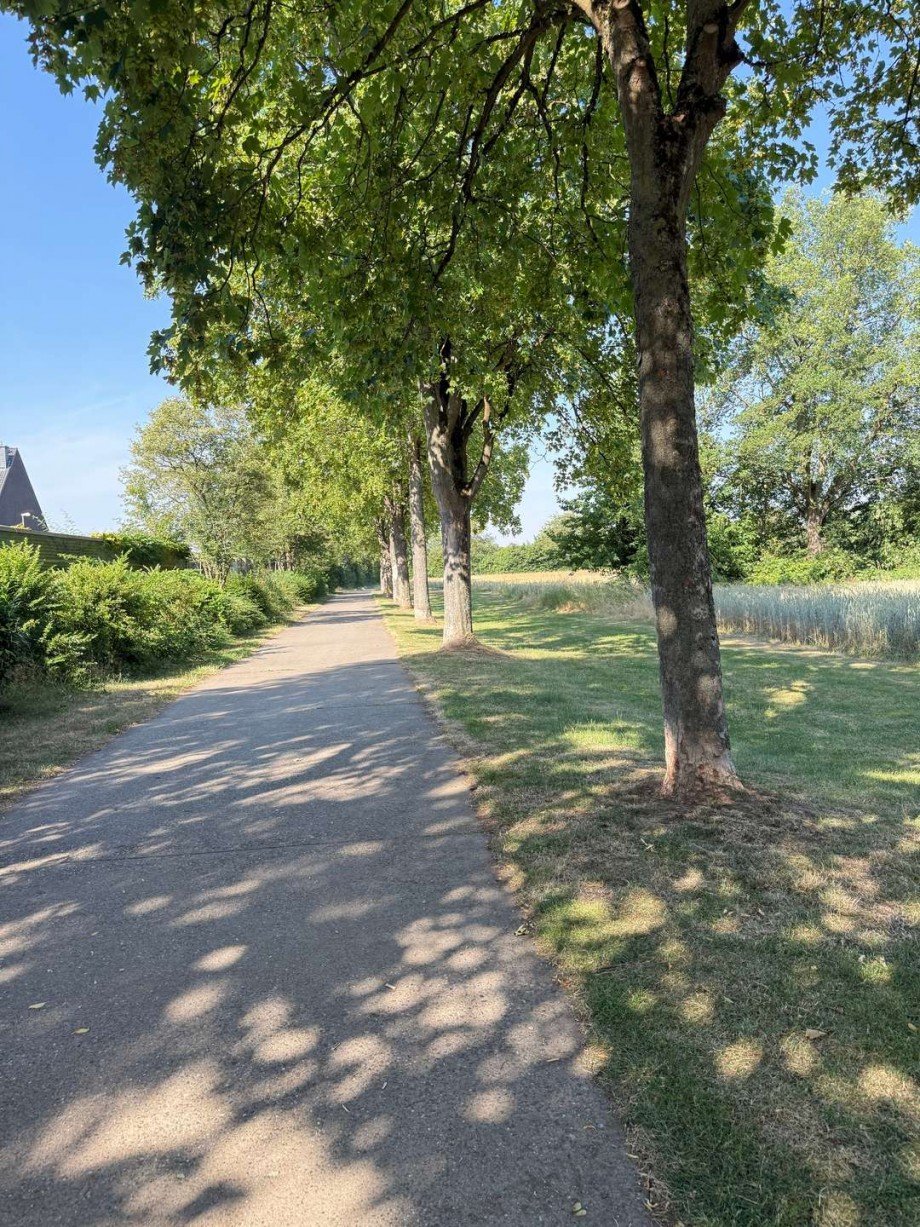 Idyllische Ortrandslage direkt im Gr�nen Haus Hattersheim am Main