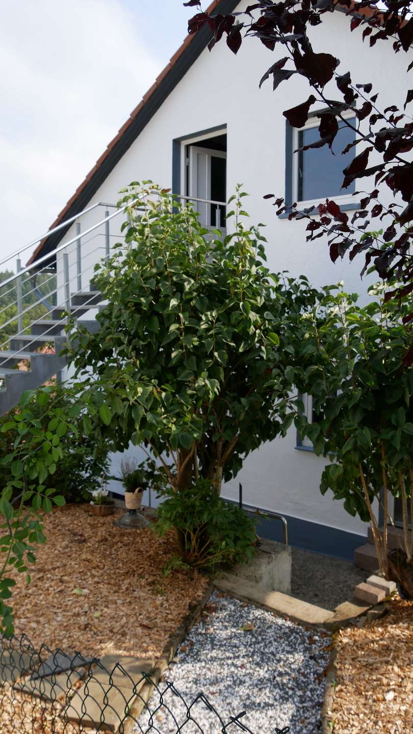 Seperater Eingang zum Obergschoss �ber Metalltreppe Einfamilienhaus Waldsolms